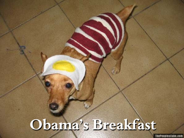 Doggie_Obamas_Breakfast.jpg