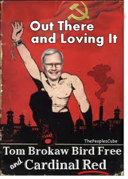brokaw bird free.jpg