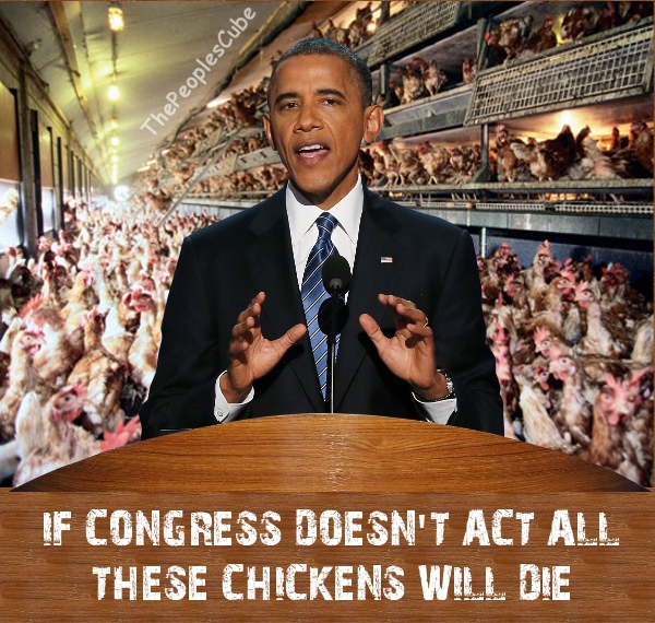 obama chickens.jpg