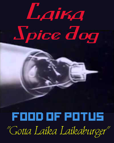 spice-dog-1.jpg