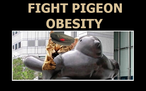 Pigeon_Obesity.jpg