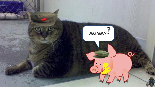 fat-cat-meow.jpg