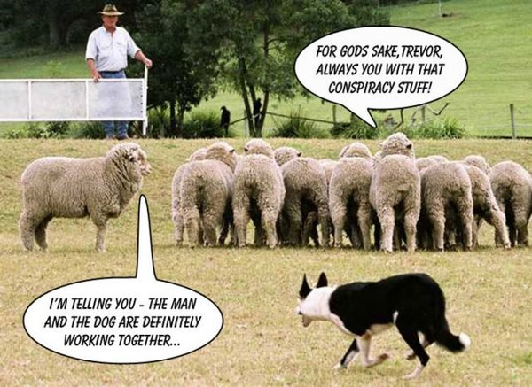 sheep-dog-man_conspiracy[1].jpg