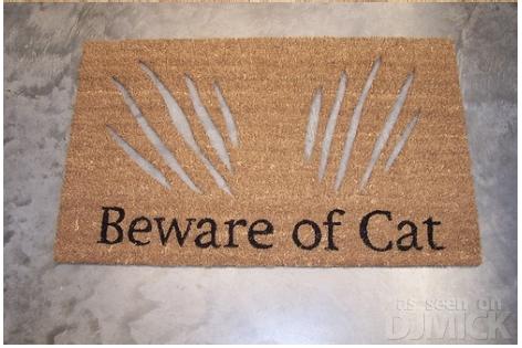 beware of cat mat.jpg