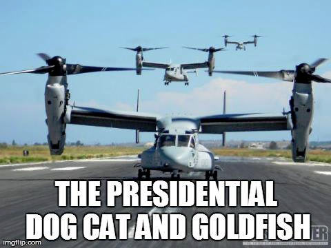 Obama_dog_cat_goldfish.jpg