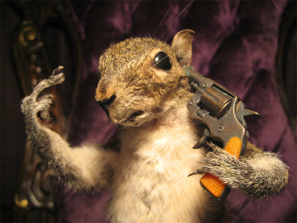 suicide-squirrel-1.jpg