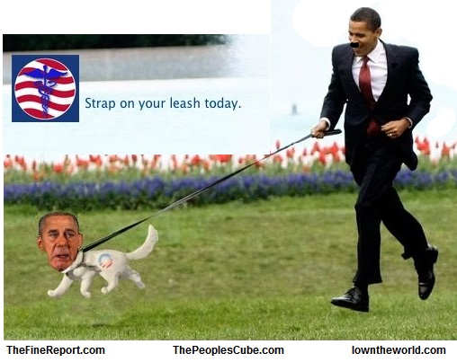 Boehner dog.jpg