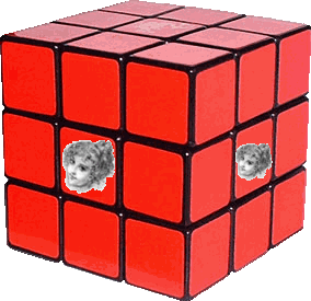 pams-cube1.gif