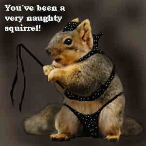 naughty_squirrel.jpg