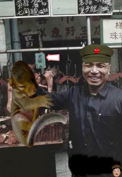 chinese_like_rodent.jpg