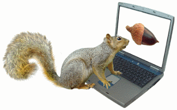squirrel_computer-delete.gif