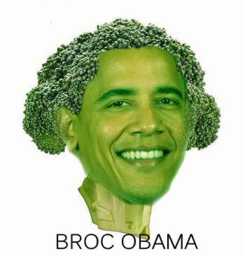 Broc_Obama.jpg