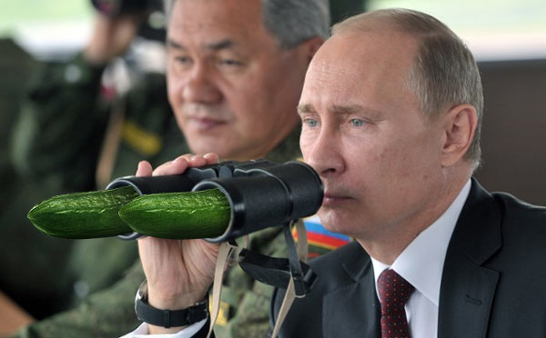 Putin_Cucumbers.jpg