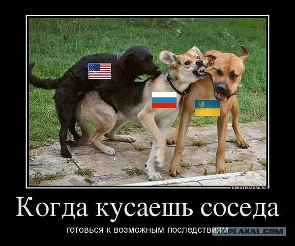 Dogs_Russia_Ukraine_US.jpg