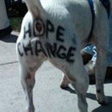 Hope and Change.jpg