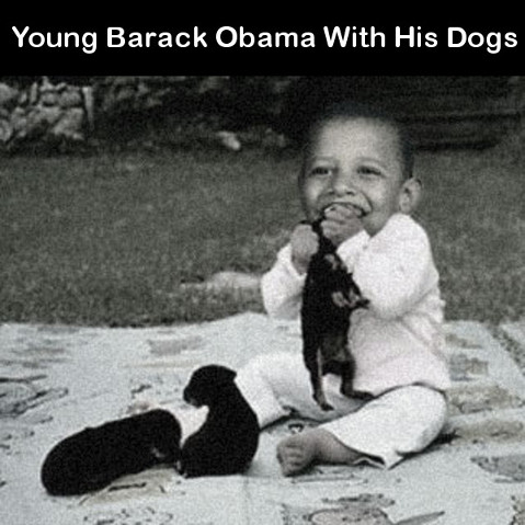 obama-with-dogs2.jpg