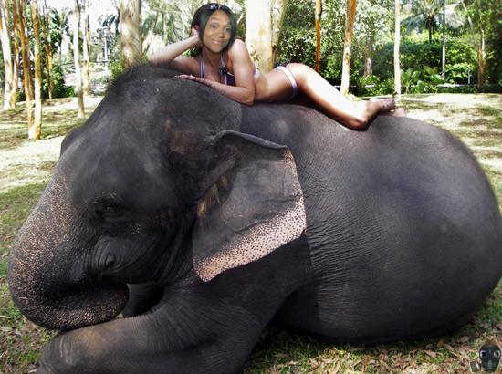 mosby-can-ride-an-elephant.jpg