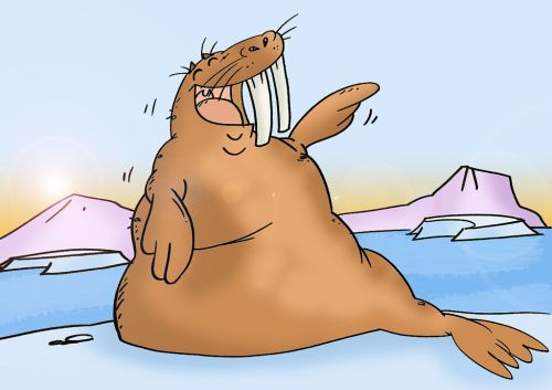 walrus laughing cartoon.jpg