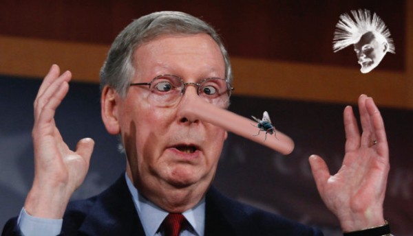 mcconnell smells a fly.jpg