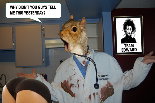 squirrel doctor.jpg