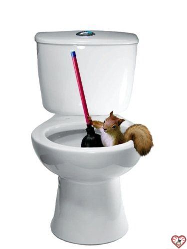 Craptek at crapper-2.jpg