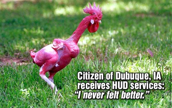 Plucked_Rooster_Dubuque.jpg