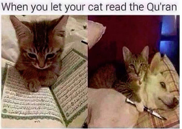 Cat_Reads_Koran.jpg