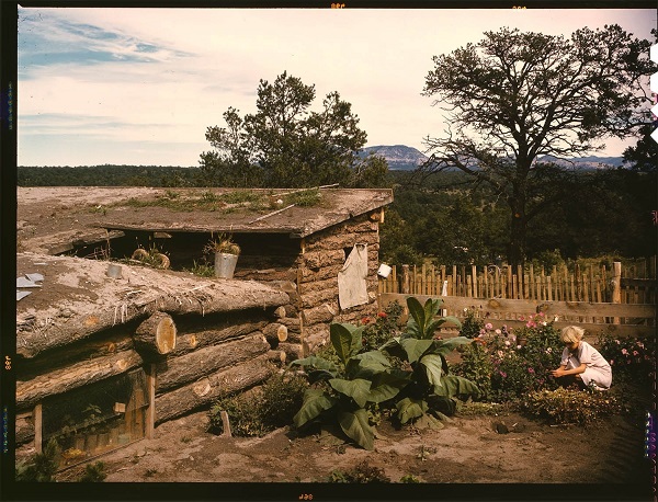 US.Family.kids.in.Sept. 1940.(Kodachrome).(German + Italiano_).Jack Whinery Family.Pie Town, NM.their dugout-house.by Russell Lee.(600).jpg