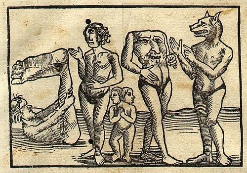 Cosmographia (Sebastian_Münster).Monstrorum Hominem.jpg