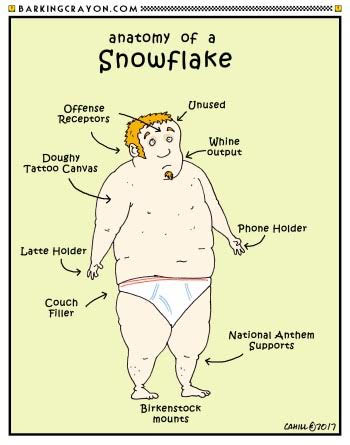 Snowflake_Anatomy.jpg