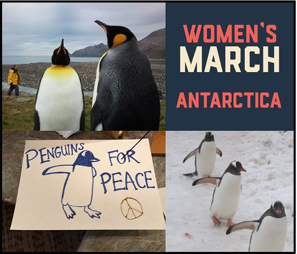 Womens_March_Antarctica_3_Penguins.jpg