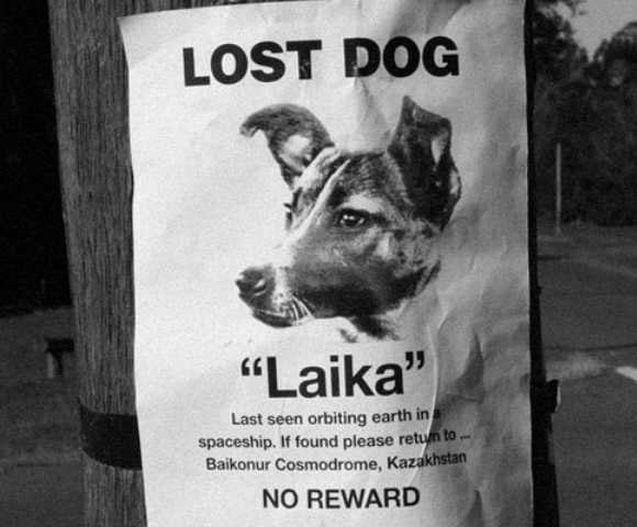 Laika_Lost_Dog_Poster.jpg