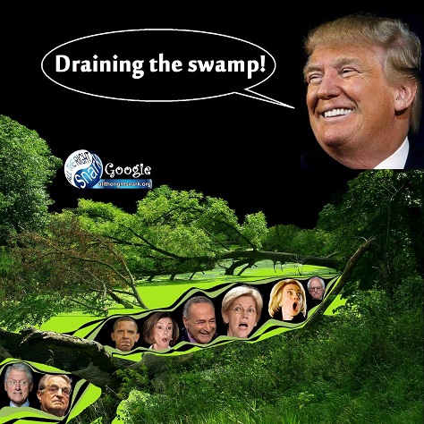 swamp - 37.jpg