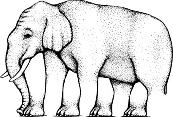 Elephant_Optical_Illusion.jpg