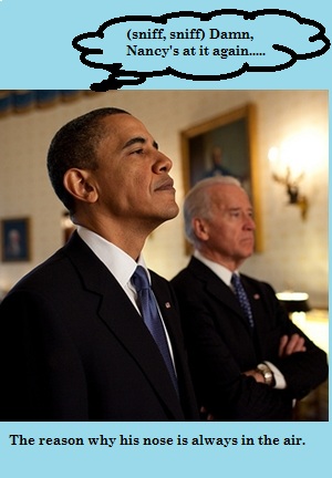 Barack+Obama+and+Joe+Biden+_2788_19731709_0_0_7056001_300.jpg