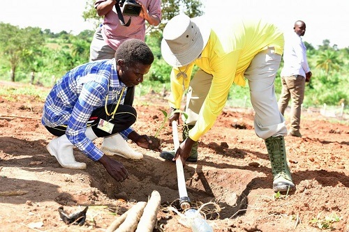 President Museveni planting.jpg