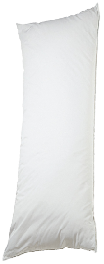 body pillow.PNG