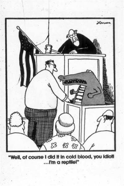 far side cold blood.png