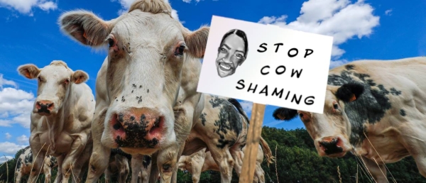 cow shaming.jpg