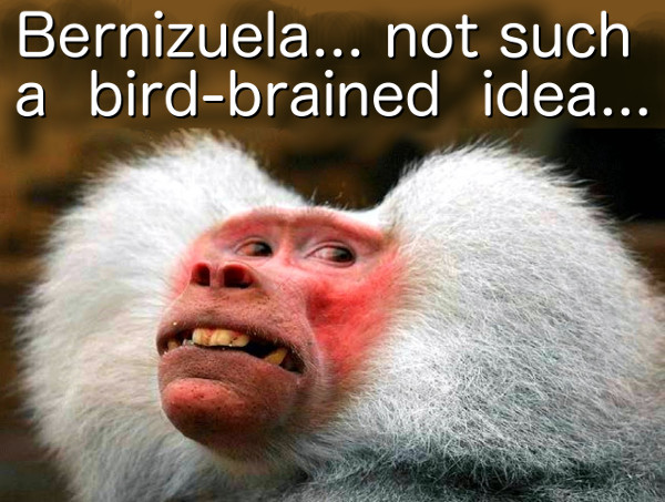 bernizuela-monkey.jpg