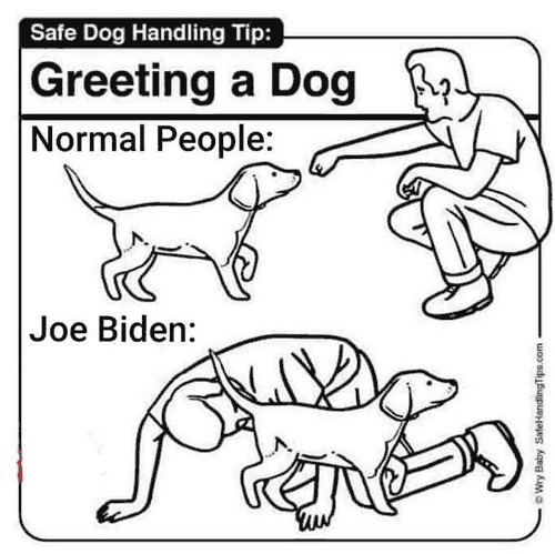 Biden_Dog.png