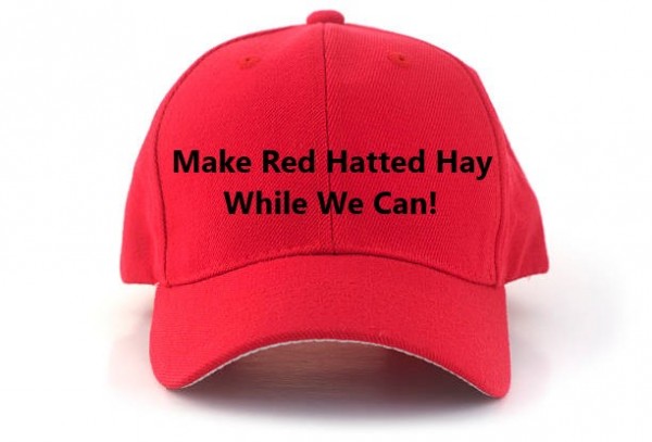 red cap.jpg