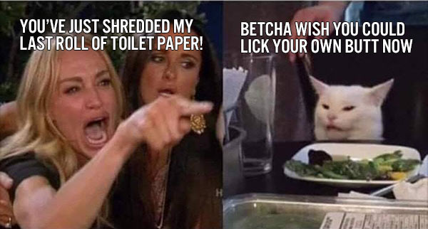 Cat_Meme_Toilet_Paper.jpg