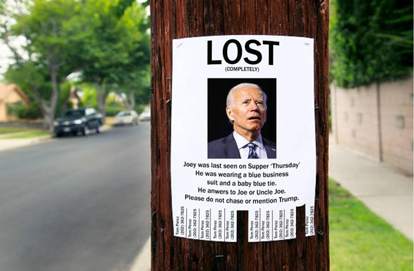Biden_Lost.jpg