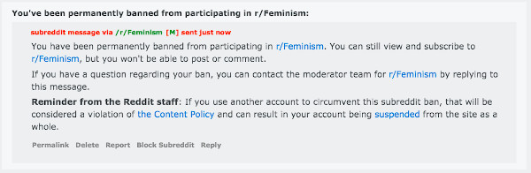 banned-feminism-small.jpg