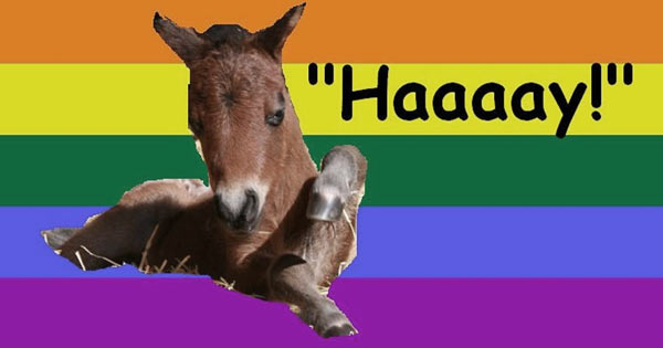 Gay_Horse.jpg