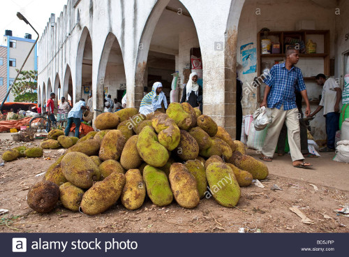 Tanzanian Jackfruit.jpg