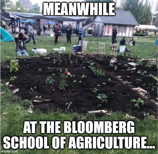 bloomberg-agriculture44x48q.jpg