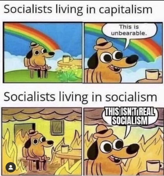 socialists-in-capitalism-v-socialists-in-socialism.jpg