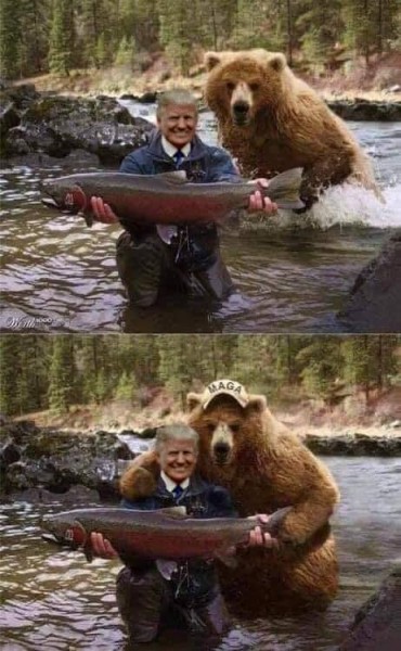 bear trump salmon.jpeg